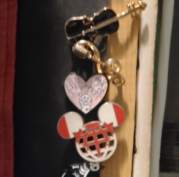 Collection of various pins